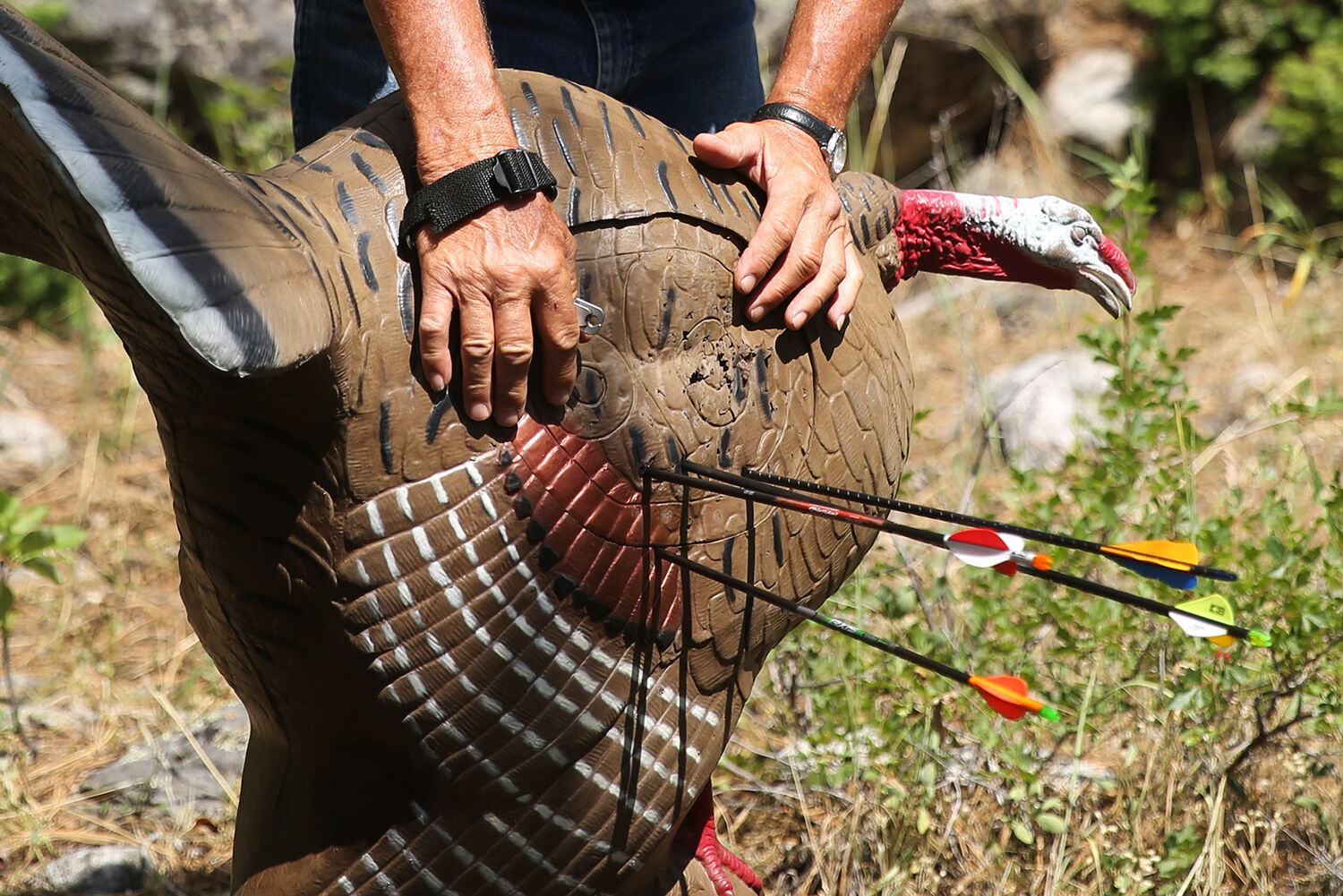 The 3D shoot features a variety of targets ranging from birds